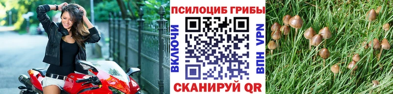 Псилоцибиновые грибы Psilocybe  Пойковский 